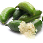 Finger lime